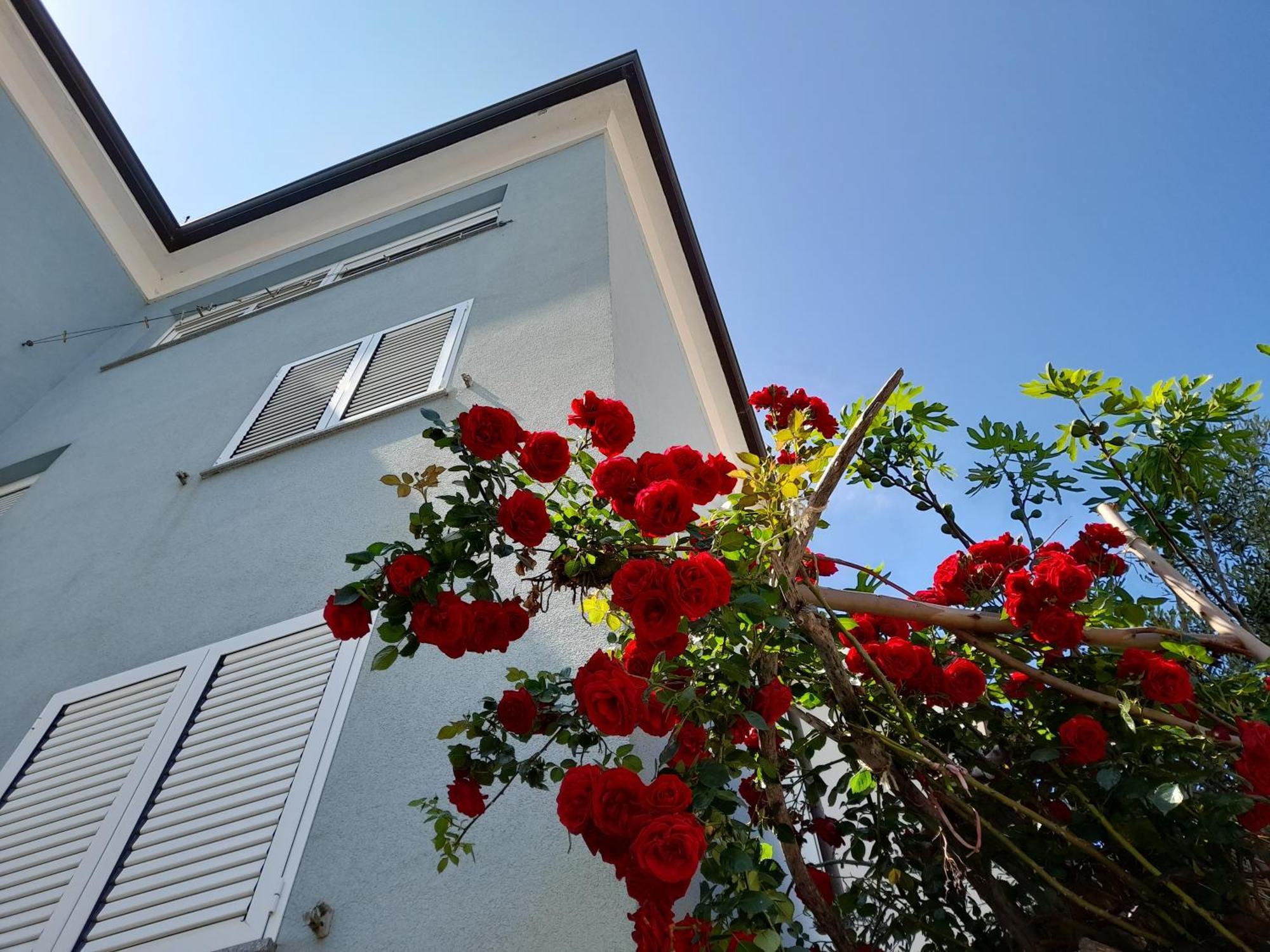 Apartamento Lea Rovinj Exterior foto