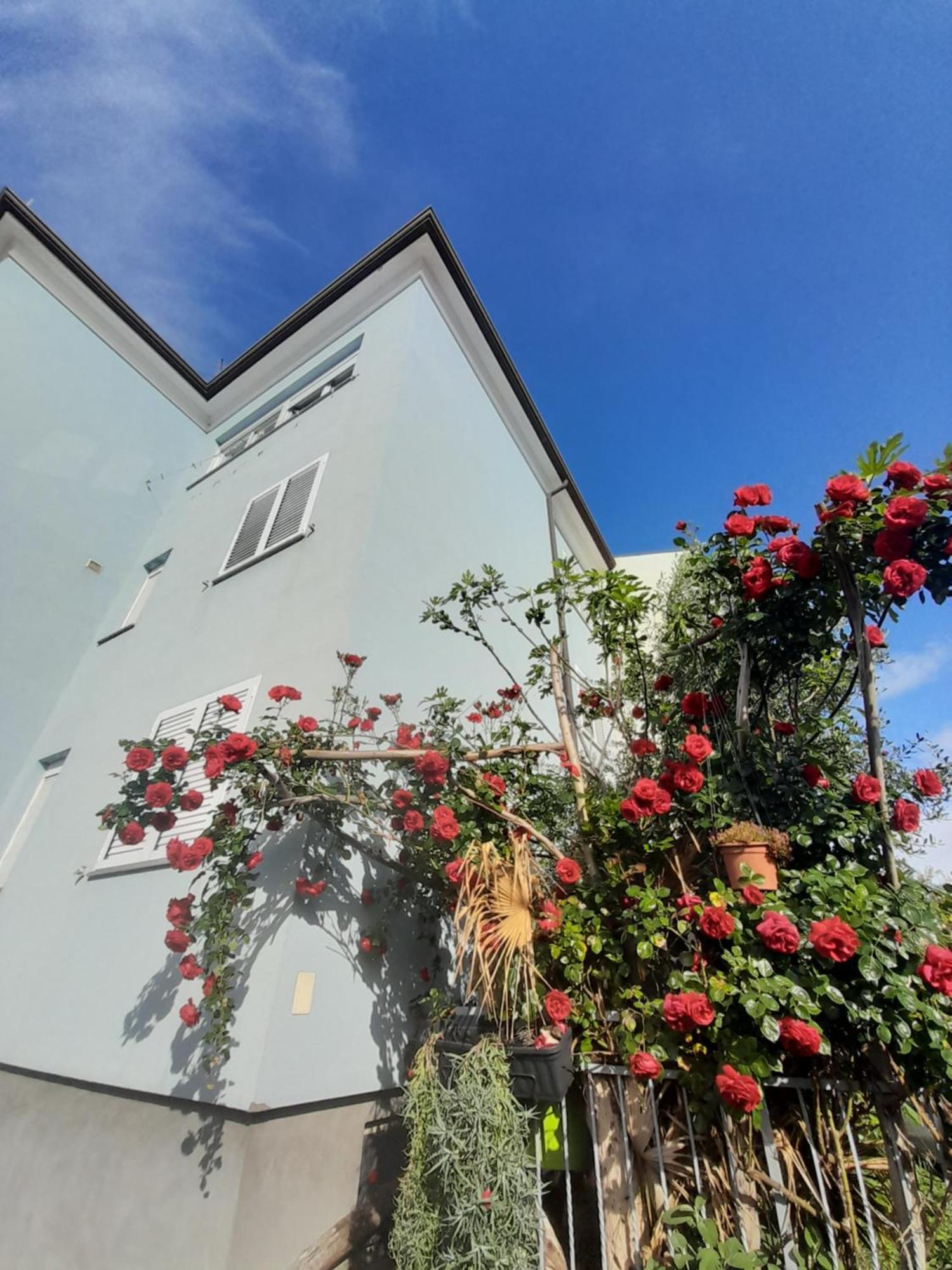 Apartamento Lea Rovinj Exterior foto