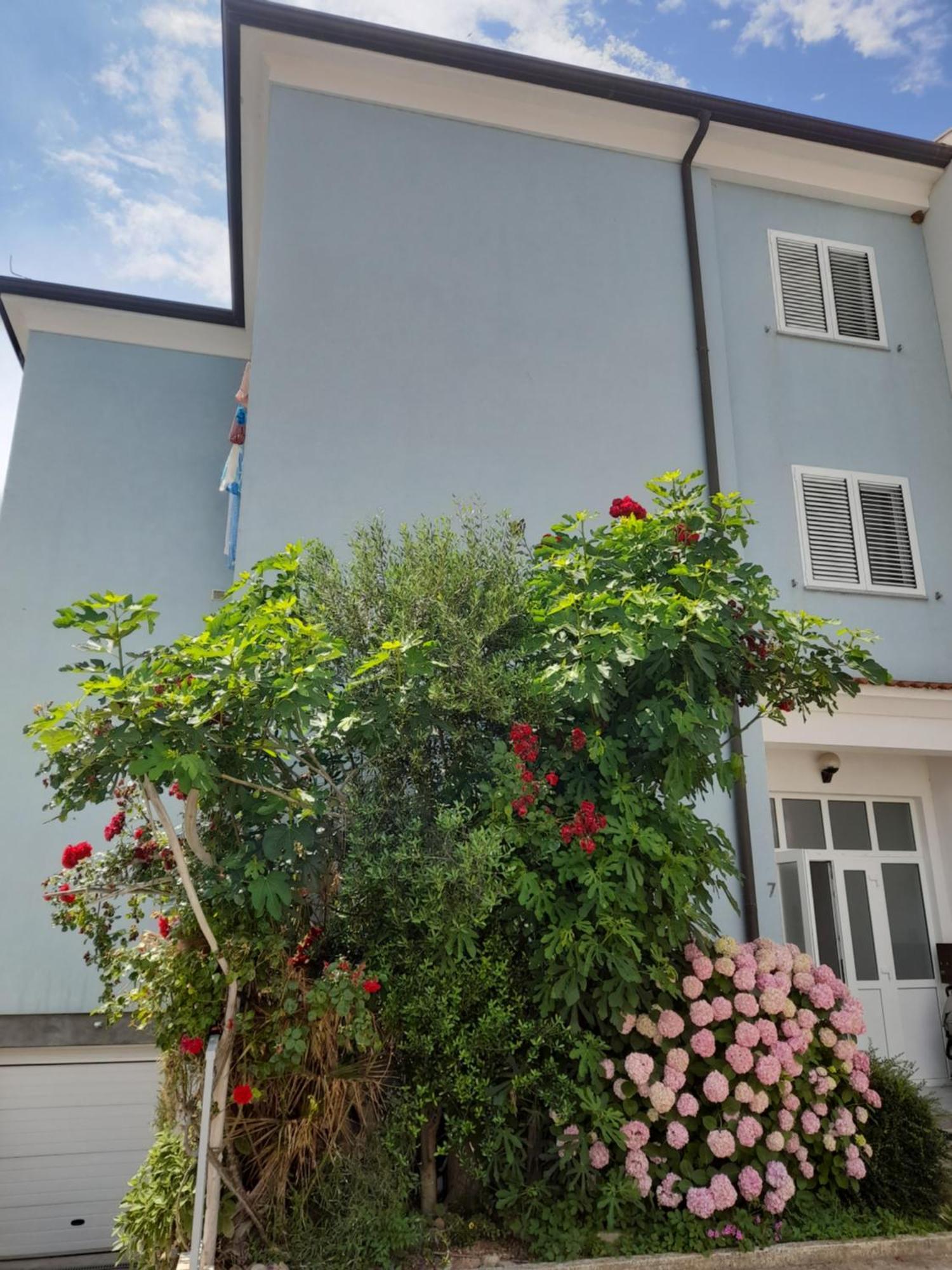 Apartamento Lea Rovinj Exterior foto