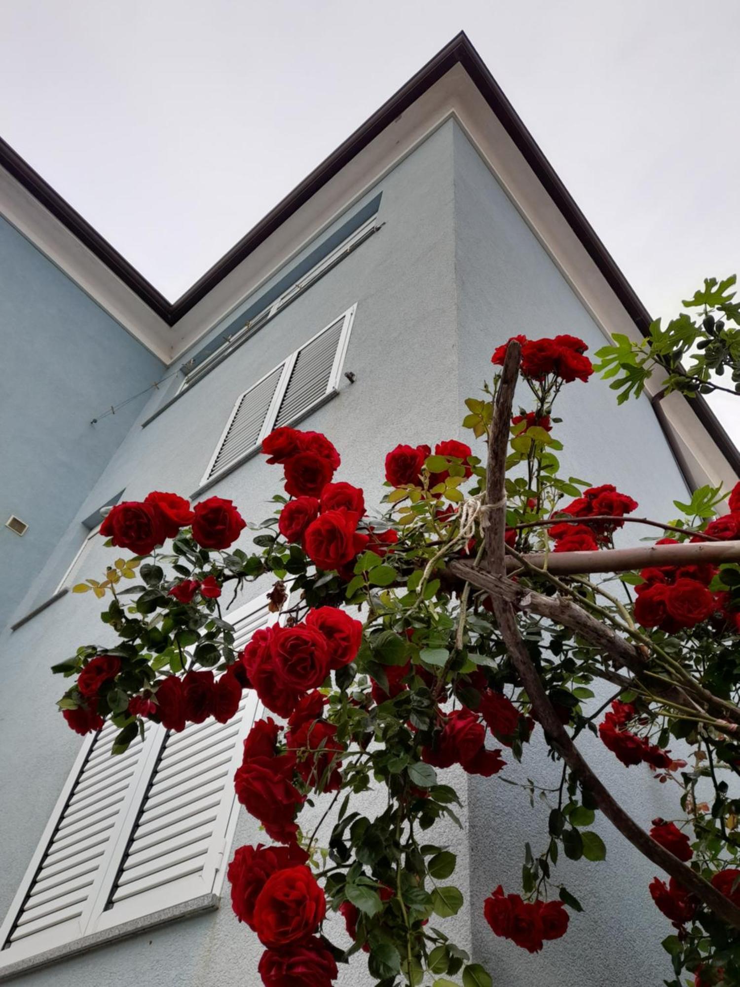 Apartamento Lea Rovinj Exterior foto