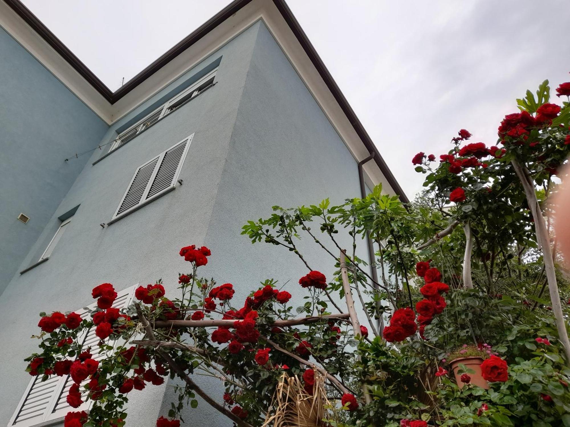 Apartamento Lea Rovinj Exterior foto